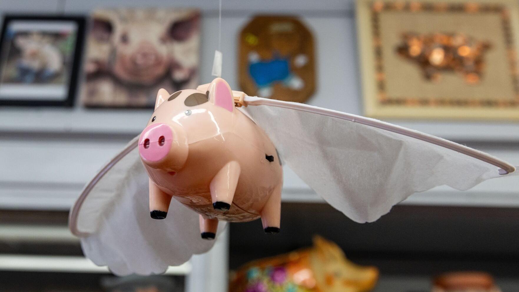 Located on historic ground, Falls City museum brings collections together